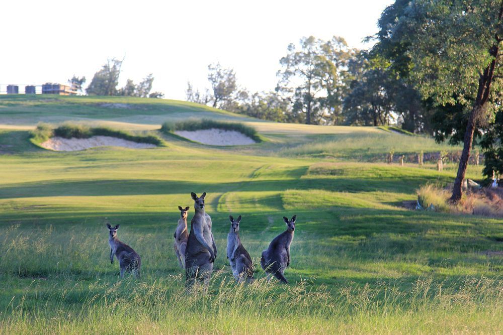 Riverside Oaks Golf Resort Cattai Eksteriør billede